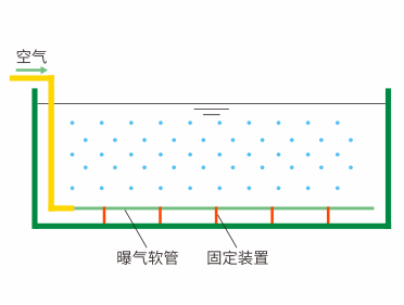d88尊龙游戏大厅·(中国)官方网站